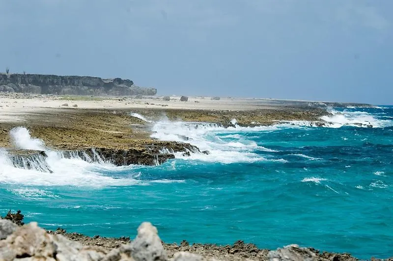 Woodz Bonaire Apartment Kralendijk